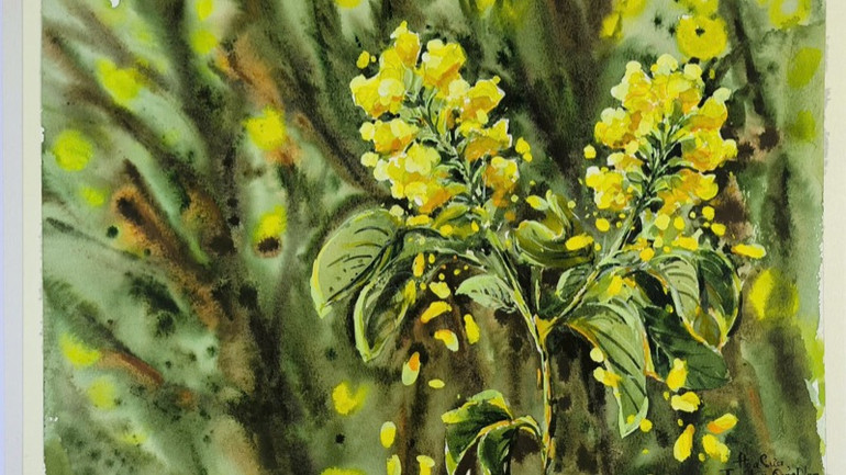 Tác phẩm "Hoa sưa Tam Kỳ" của tác giả Đinh Thế Anh.