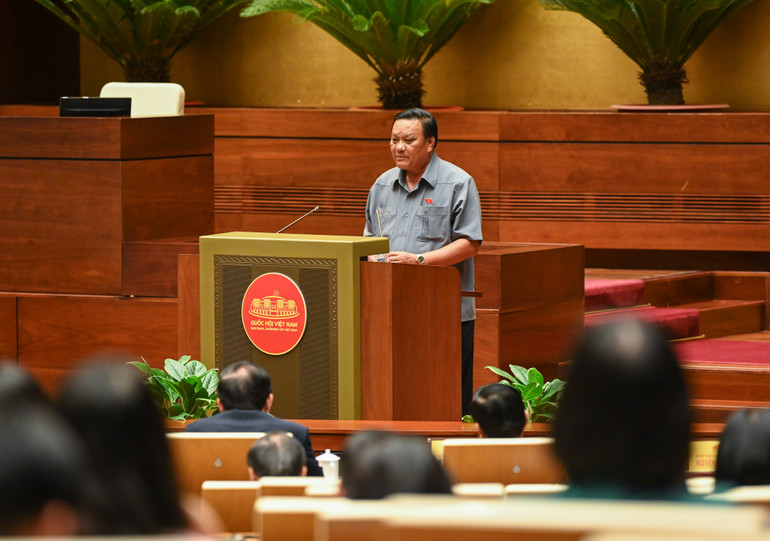 Phó Bí thư Thường trực tỉnh ủy, Trưởng đoàn đại biểu Quốc hội tỉnh Bình Định Lê Kim Toàn trình bày tham luận tại hội nghị.