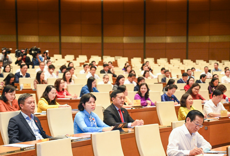 Các đại biểu Quốc hội tham dự hội nghị.