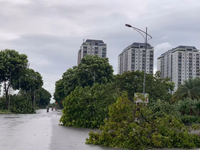 Hàng loạt cây xanh bị đổ ở khu đô thị Thanh Hà. (Ảnh: THANH TRÀ)