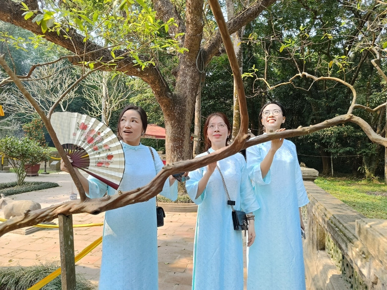 Cây ổi "biết cười" huyền bí tại Khu di tích Lam Kinh. Cây ổi "biết cười" huyền bí tại Khu di tích Lam Kinh.