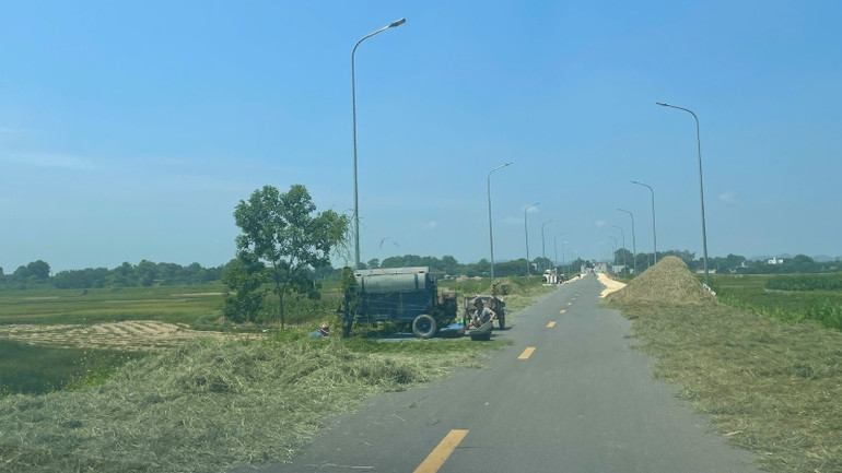 Thóc, lúa, phương tiện bủa vây lòng đường. Thóc, lúa, phương tiện bủa vây lòng đường.