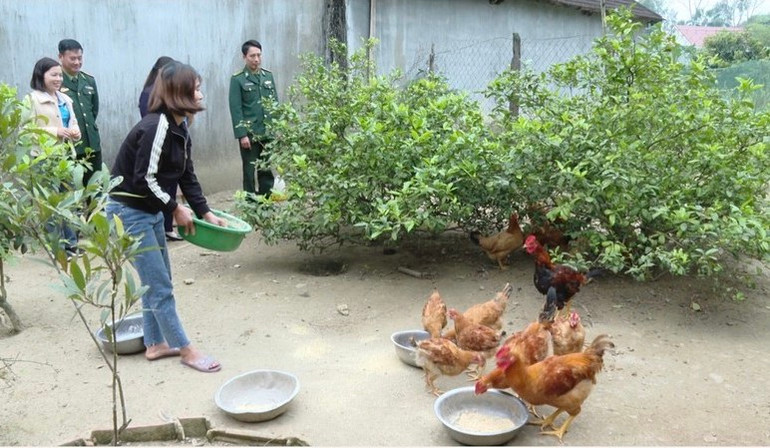 Được hỗ trợ đàn gà giống, chị Minh có nguồn vốn để sản xuất phát triển kinh tế.