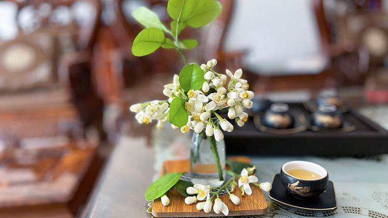 Hoa bưởi trang trí không gian nhà thêm ngọt ngào, ấm cúng.