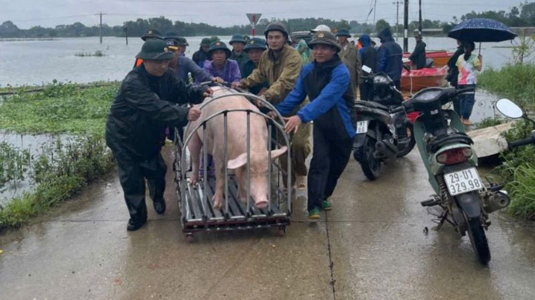 Các lực lượng chức năng giúp người dân vùng ngập lụt di chuyển đồ đạc, vật nuôi đến nơi an toàn.