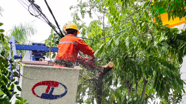 Thu dọn cây xanh ngã đổ vào đường điện ở khu kinh tế Dung Quất, Quảng Ngãi. (Ảnh: Hiển Cừ)