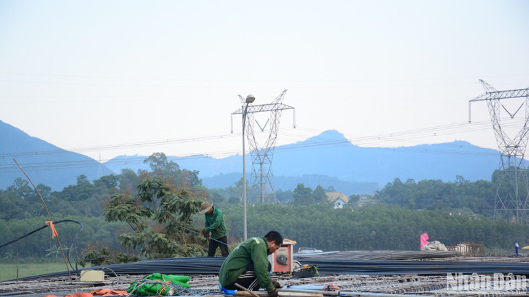 Công trình trên tuyến Hòa Liên-Túy Loan gồm 2 nút giao thông, 11 cầu 8 hầm chui dân sinh, 62 cống các loại, đường gom song hành hai bên đường cao tốc tổng chiều dài hơn 20km. Trong ảnh: Công nhân đang thi công giằng thép bản mặt cầu.