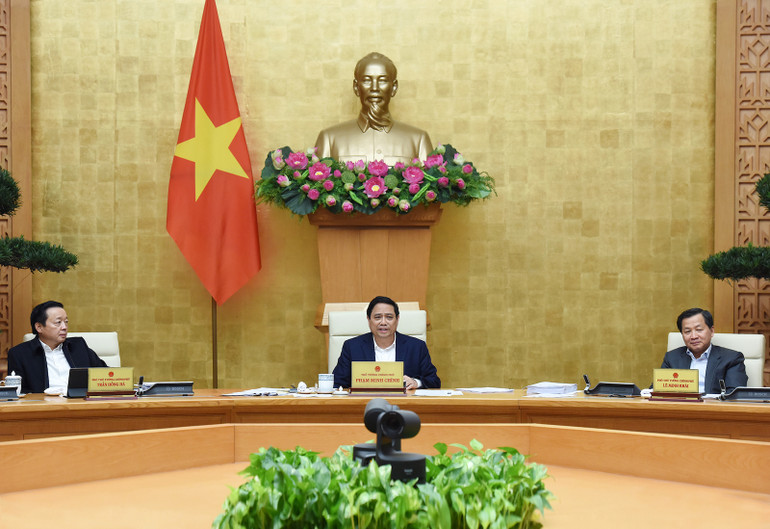 (Ảnh: TRẦN HẢI) (Ảnh: TRẦN HẢI)