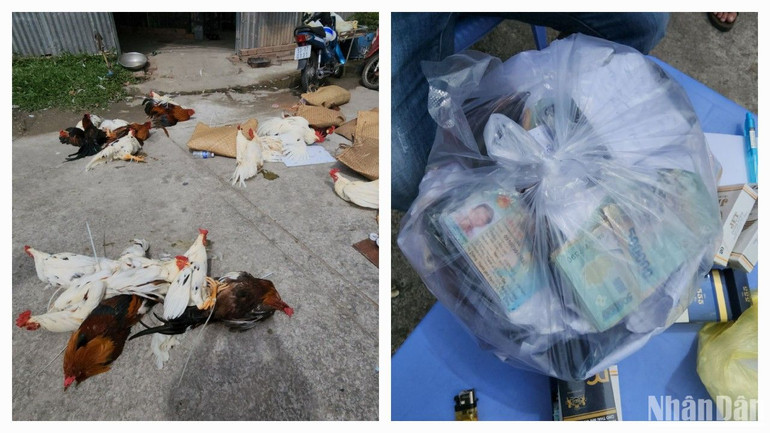 Tang vật vụ đánh bạc.