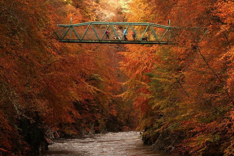 Một cây cầu bắc qua sông Garry gần Pitlochry, Scotland, ngày 26/10. (Ảnh: REUTERS) Một cây cầu bắc qua sông Garry gần Pitlochry, Scotland, ngày 26/10. (Ảnh: REUTERS)
