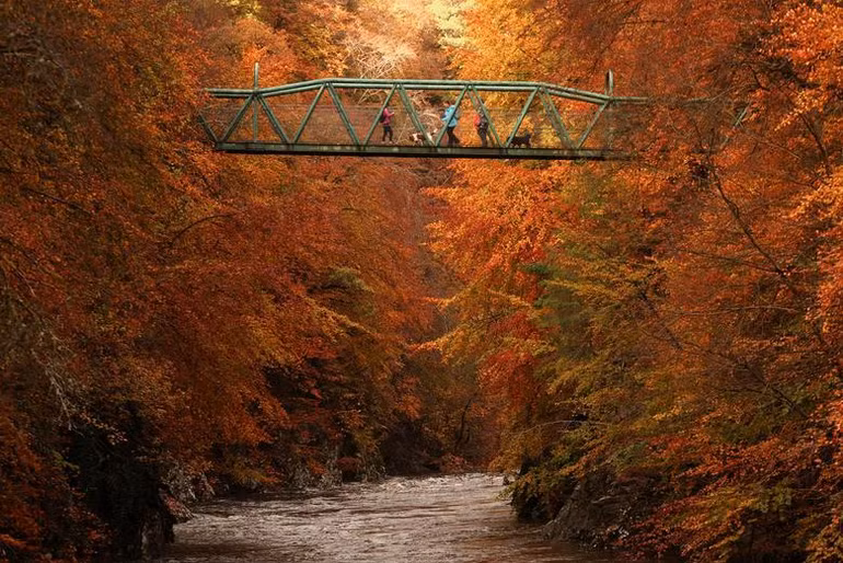 Một cây cầu bắc qua sông Garry gần Pitlochry, Scotland, ngày 26/10. (Ảnh: REUTERS)