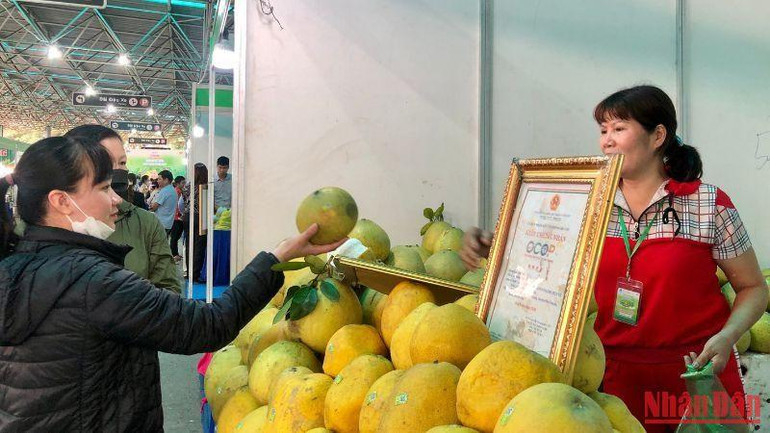 Người tiêu dùng tham quan, mua sắm các sản phẩm OCOP tại tuần hàng.