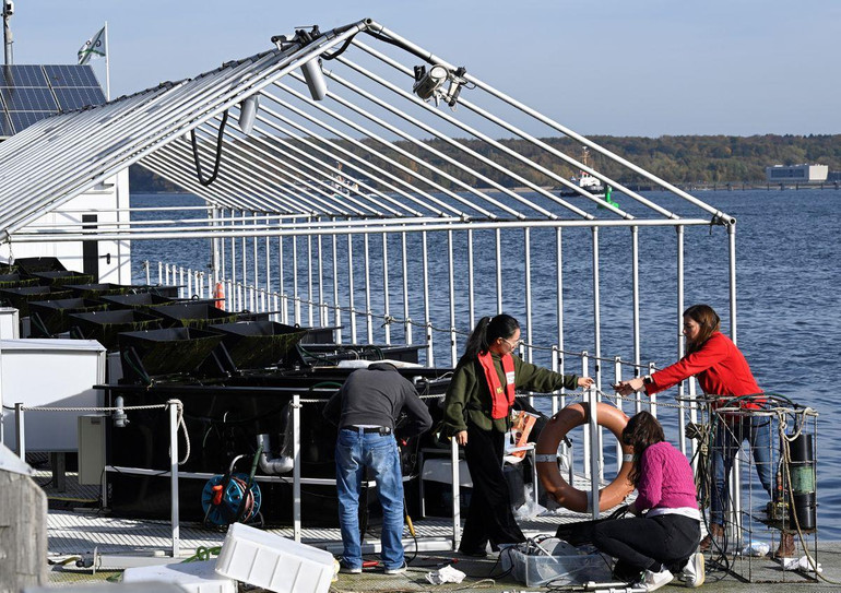 Nhân viên của Trung tâm Nghiên cứu đại dương Geomar Helmholtz làm việc trước các bể nuôi cấy cỏ biển. (Ảnh: Reuters)