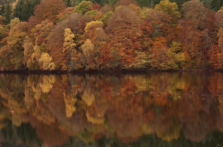 Những chiếc lá mùa thu được phản chiếu trên hồ Loch Faskally ở Pitlochry, Scotland, ngày 2/11. (Ảnh: REUTERS) Những chiếc lá mùa thu được phản chiếu trên hồ Loch Faskally ở Pitlochry, Scotland, ngày 2/11. (Ảnh: REUTERS)
