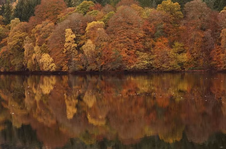 Những chiếc lá mùa thu được phản chiếu trên hồ Loch Faskally ở Pitlochry, Scotland, ngày 2/11. (Ảnh: REUTERS)
