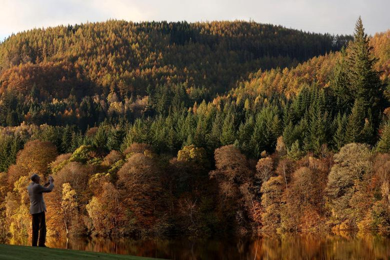 Những chiếc lá mùa thu được phản chiếu trên hồ Loch Faskally ở Pitlochry, Scotland, ngày 3/11. (Ảnh: REUTERS) Những chiếc lá mùa thu được phản chiếu trên hồ Loch Faskally ở Pitlochry, Scotland, ngày 3/11. (Ảnh: REUTERS)