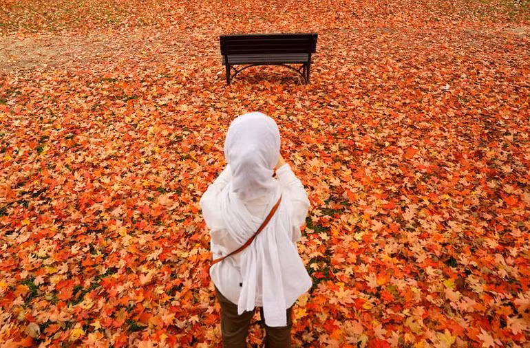 Một người phụ nữ chụp lại sắc màu sống động của thảm lá rụng ở Washington, Mỹ, ngày 26/10. (Ảnh: REUTERS)