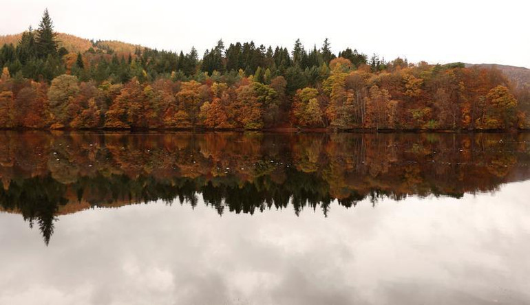 Những chiếc lá mùa thu được phản chiếu trên hồ Loch Faskally ở Pitlochry, Scotland, ngày 2/11. (Ảnh: REUTERS) Những chiếc lá mùa thu được phản chiếu trên hồ Loch Faskally ở Pitlochry, Scotland, ngày 2/11. (Ảnh: REUTERS)