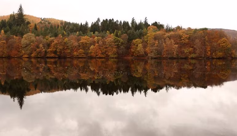 Những chiếc lá mùa thu được phản chiếu trên hồ Loch Faskally ở Pitlochry, Scotland, ngày 2/11. (Ảnh: REUTERS)