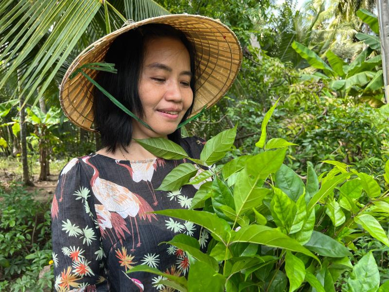 Cây quao nước tại địa phương được cô giáo Song Đào nghiên cứu làm ra nhang sinh học.