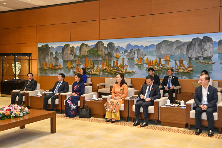 Đoàn đại biểu Quốc hội Việt Nam và Thủ đô Hà Nội dự buổi tiếp.