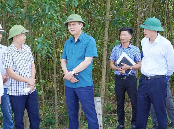 Chủ tịch UBND tỉnh Quảng Bình Trần Thắng (đứng giữa) kiểm tra thực địa triển khai dự án cao tốc bắc-nam đoạn qua địa phương.