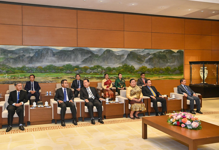 Đoàn đại biểu cấp cao Thủ đô Vientiane dự buổi tiếp.