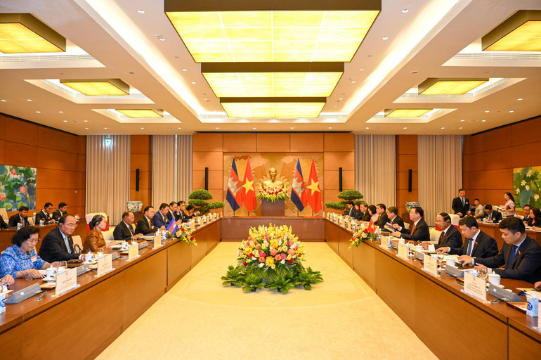 Quang cảnh buổi hội đàm giữa Quốc hội hai nước. (Ảnh: Duy Linh)