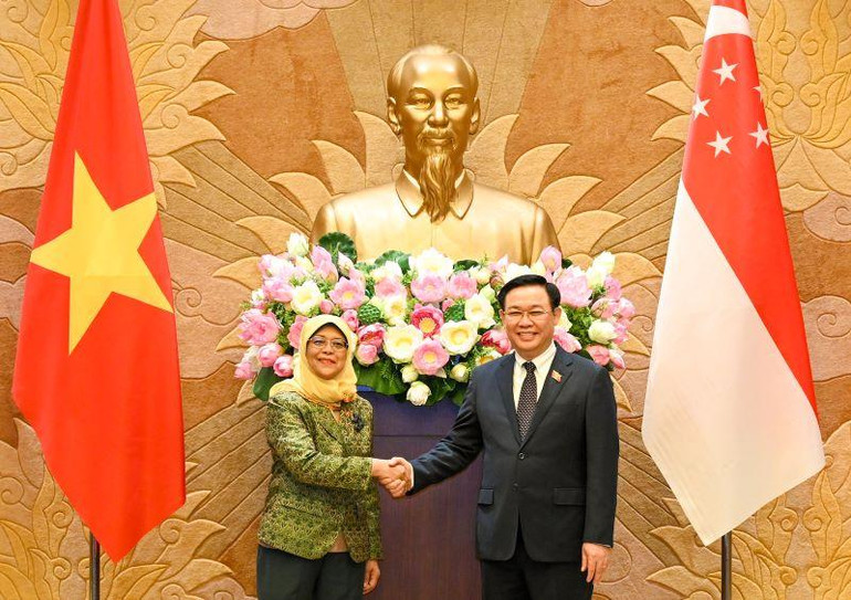 Chủ tịch Quốc hội Vương Đình Huệ và Tổng thống Cộng hòa Singapore Halimah Yacob tại buổi tiếp. Chủ tịch Quốc hội Vương Đình Huệ và Tổng thống Cộng hòa Singapore Halimah Yacob tại buổi tiếp.