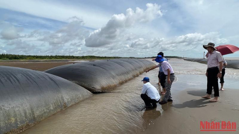 Tỉnh Bến Tre đầu tư xây dựng kè mềm tại xã Thạnh Phong, huyện Thạnh Phú.