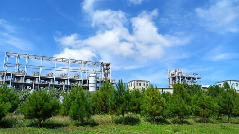 Tổ hợp Nhà máy sản xuất Alumin Nhân Cơ, Công ty Nhôm Đắk Nông trồng cây xanh tái tạo môi trường.