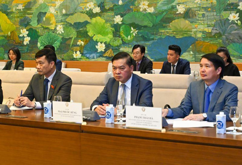 Đoàn đại biểu Việt Nam dự buổi tiếp. Đoàn đại biểu Việt Nam dự buổi tiếp.