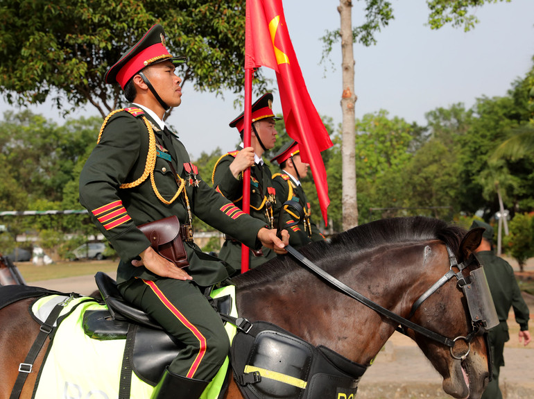 Các chú ngựa được chăm sóc tỉa bờm đều đẹp. Các chú ngựa được chăm sóc tỉa bờm đều đẹp.