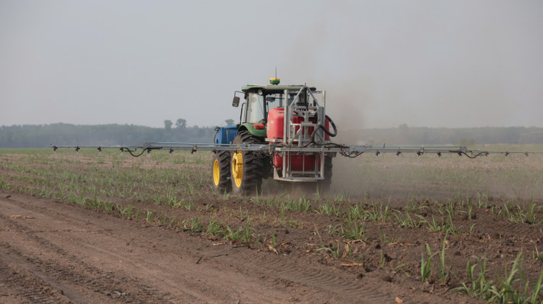 Vùng nguyên liệu phục vụ nhà máy đường Ninh Điền khẩn trương đi vào hoạt động, hỗ trợ chặt chẽ hoạt động sản xuất.