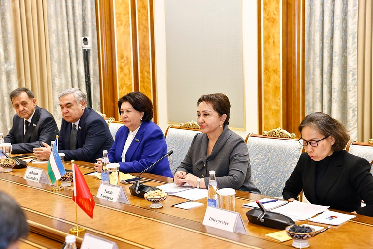 Chủ tịch Thượng viện Uzbekistan Tanzila Narbaeva phát biểu tại cuộc hội đàm với Chủ tịch Quốc hội Trần Thanh Mẫn. Ảnh: DOÃN TẤN/TTXVN Chủ tịch Thượng viện Uzbekistan Tanzila Narbaeva phát biểu tại cuộc hội đàm với Chủ tịch Quốc hội Trần Thanh Mẫn. Ảnh: DOÃN TẤN/TTXVN