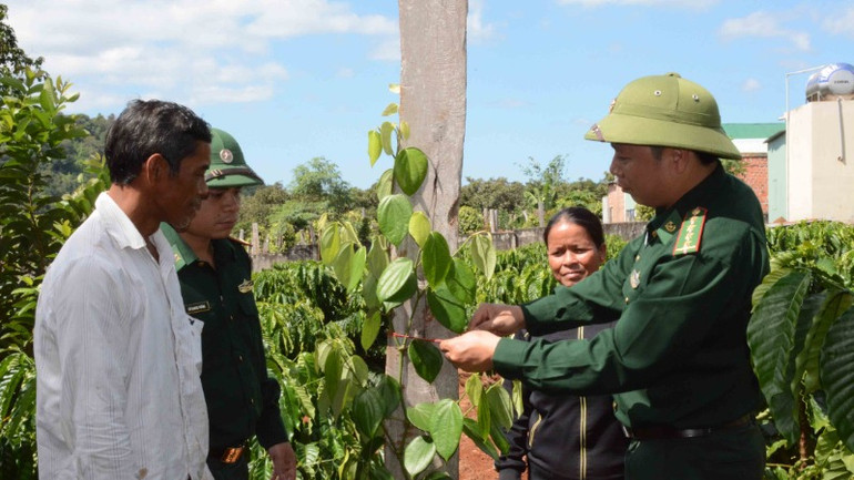 Cán bộ Đồn Biên phòng 721 (Bộ đội Biên phòng tỉnh Gia Lai) hướng dẫn người dân cách trồng hồ tiêu.