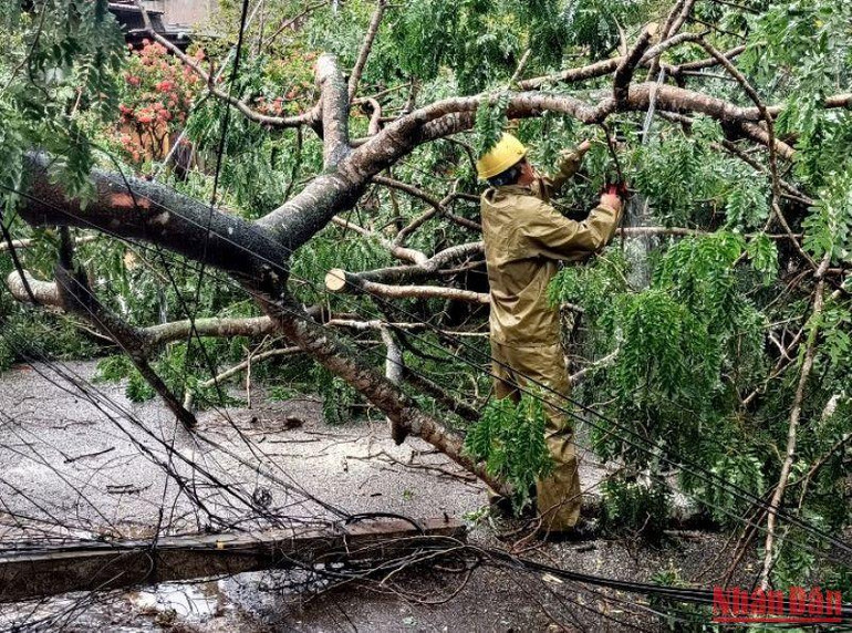 Khắc phục hậu quả mưa bão tại huyện Hương Khê, Hà Tĩnh. Khắc phục hậu quả mưa bão tại huyện Hương Khê, Hà Tĩnh.