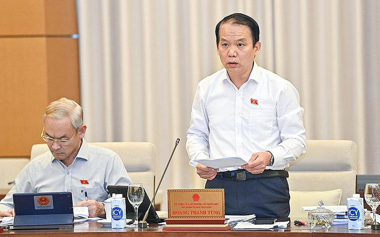 Chủ nhiệm Ủy ban Pháp luật Hoàng Thanh Tùng trình bày Báo cáo thẩm tra tại phiên họp. (Ảnh: Duy Linh)