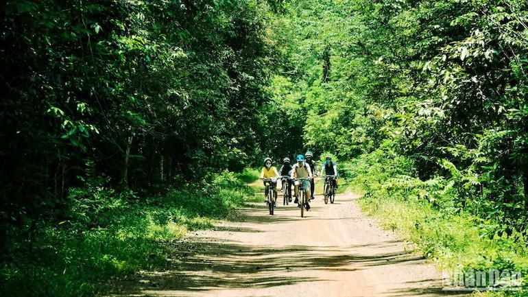 Du lịch sinh thái rừng tại Đồng Nai ngày càng thu hút du khách.
