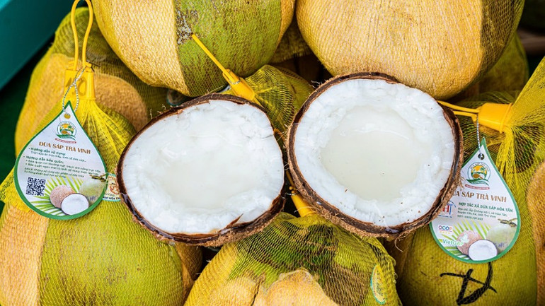 Dừa sáp, loại đặc sản nổi tiếng của huyện Cầu Kè, tỉnh Trà Vinh. Dừa sáp, loại đặc sản nổi tiếng của huyện Cầu Kè, tỉnh Trà Vinh.