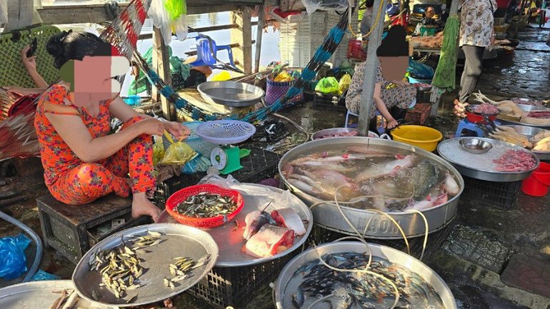 Cá linh non được bán tại chợ khu dân cư 586, phường Phú Thứ, quận Cái Răng với giá 200.000 đồng/kg.