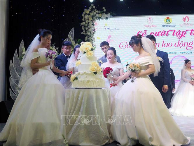 Các cặp đôi thực hiện nghi thức cắt bánh cưới. Các cặp đôi thực hiện nghi thức cắt bánh cưới.