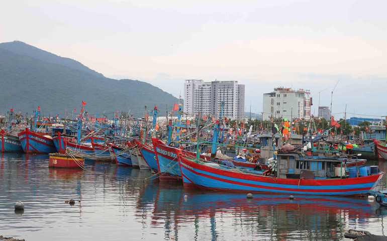 Để đóng góp vào giải quyết vấn đề môi trường tại Âu thuyền và Cảng cá Thọ Quang cần có sự chung tay của nhiều đơn vị, cộng đồng và người dân