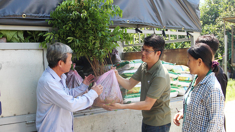 Người dân nhận cây giống gỗ lớn