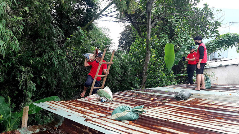 Tình nguyện viên Chữ thập đỏ giúp người dân chằng mái nhà. Tình nguyện viên Chữ thập đỏ giúp người dân chằng mái nhà.