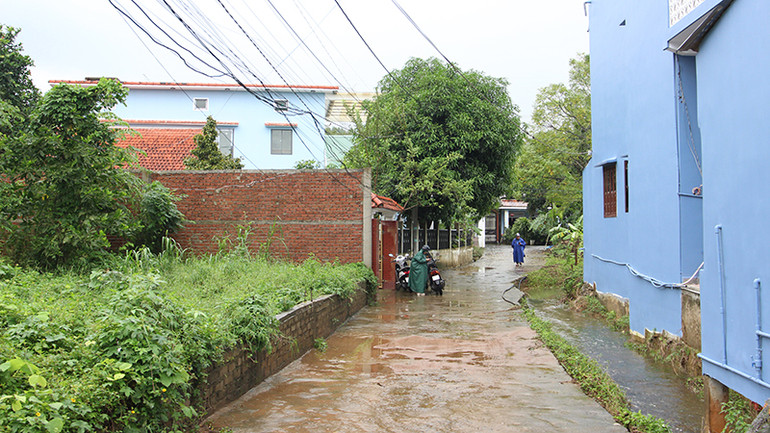 Trước mắt đã nạo vét mương dẫn ra cống thoát nước.