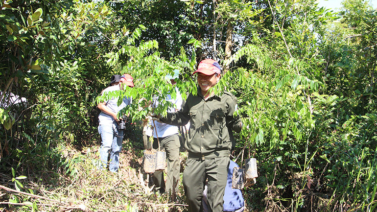 Vận chuyển cây giống đến khu vực trồng.