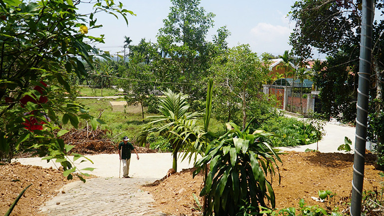 Từ nhà cựu binh Bùi Văn Tượng nhìn xuống còn đường mới.