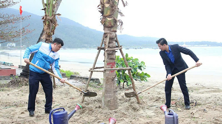 Cây dừa sẽ góp phần giảm xói mòn, chống sạt lở. Cây dừa sẽ góp phần giảm xói mòn, chống sạt lở.