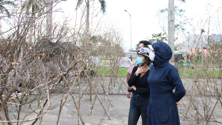 Đào chuông có giá mỗi cành từ 150.000 đến 1,5 triệu đồng